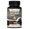 Shilajit
